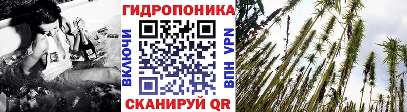 omg как зайти  Первоуральск  Бошки марихуана конопля  купить  сайты 